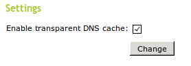 Transparent DNS proxy