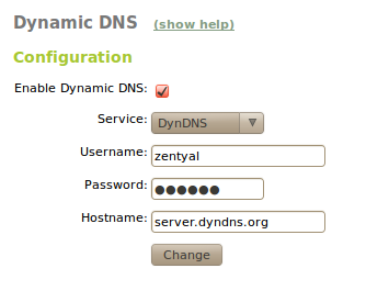 Configuration of Dynamic DNS