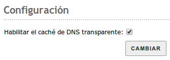 Proxy DNS transparente