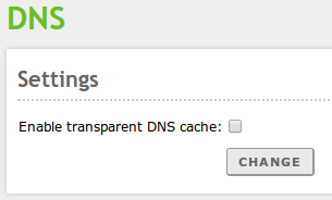Transparent DNS proxy
