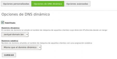 Configuración de actualizaciones DNS dinámicas