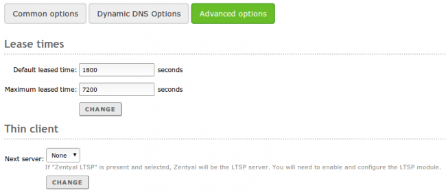 Advanced DHCP options